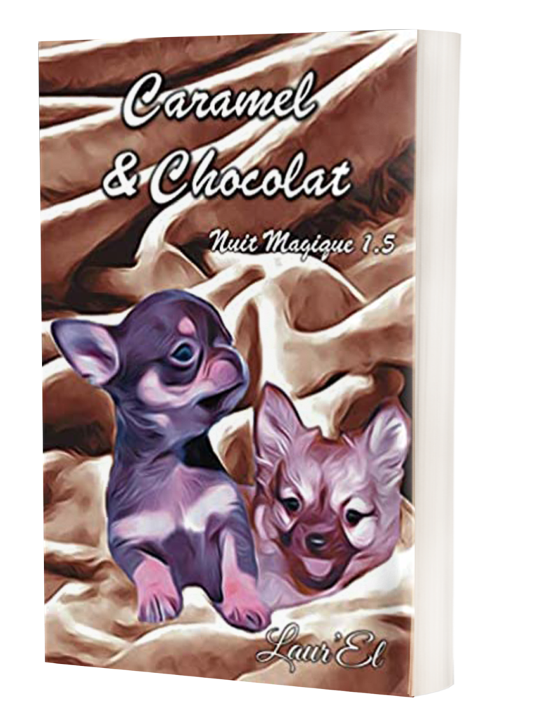 Broché-caramel-et-chocolat